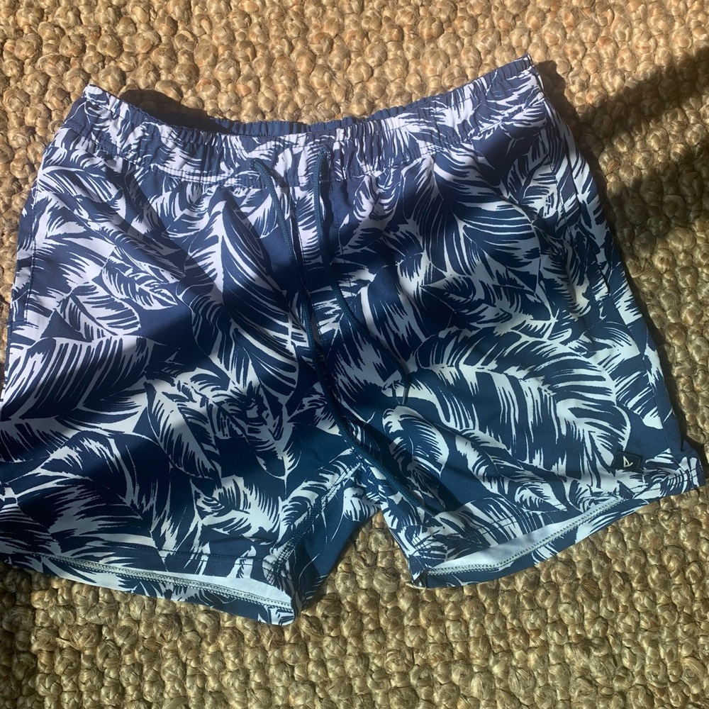 Large Mens Sperry Swimtrunks